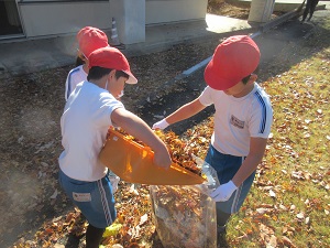 IMG_3619 IMG_3619