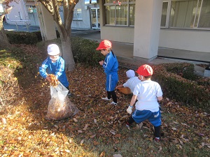 IMG_3620 IMG_3620