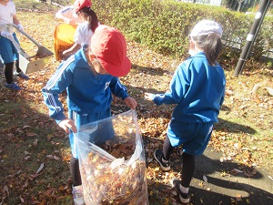 IMG_3621 IMG_3621