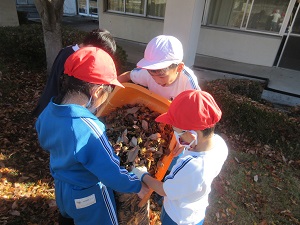 IMG_3622 IMG_3622