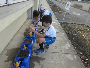 IMG_3649 IMG_3649