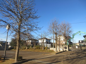 IMG_3702 IMG_3702