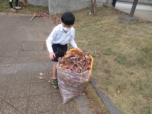 IMG_3730 IMG_3730