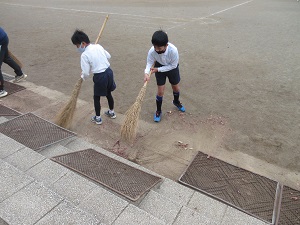 IMG_3733 IMG_3733