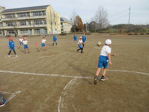 IMG_3740 IMG_3740