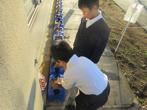 IMG_3752 IMG_3752