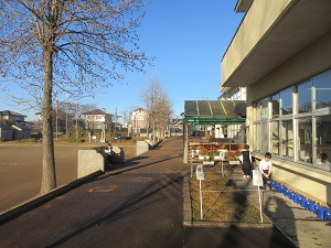IMG_3753 IMG_3753