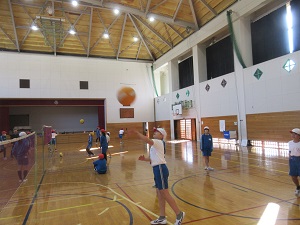 IMG_3774 IMG_3774