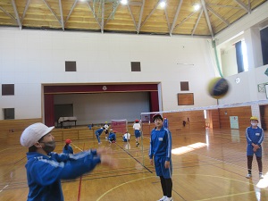 IMG_3775 IMG_3775