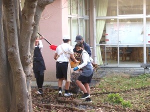 IMG_3786 IMG_3786