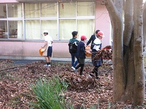 IMG_3787 IMG_3787