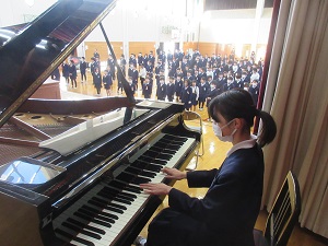 IMG_3798 IMG_3798