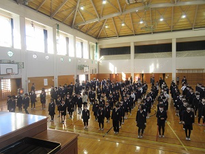 IMG_3799 IMG_3799