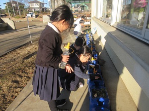 IMG_4190