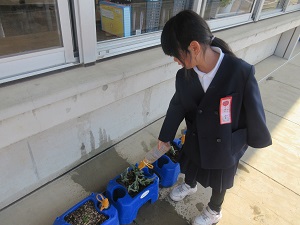 IMG_4701 IMG_4701