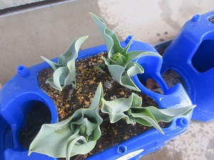 IMG_4702 IMG_4702