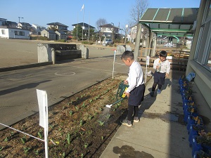 IMG_4703 IMG_4703