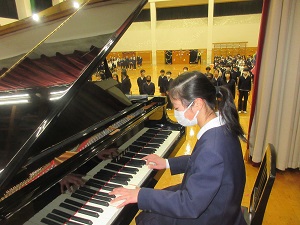 IMG_4787 IMG_4787