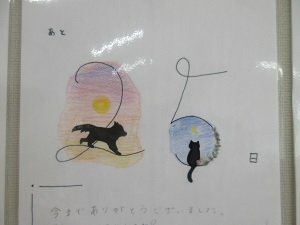 IMG_4811 IMG_4811