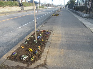 IMG_4814 IMG_4814