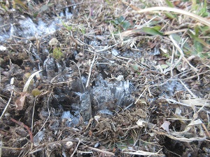 IMG_4851 IMG_4851