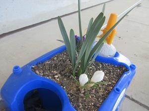 IMG_4850 IMG_4850