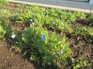 IMG_4884 IMG_4884