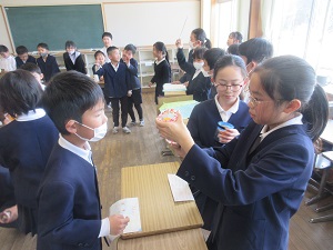IMG_4925 IMG_4925