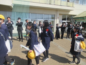 IMG_4945 IMG_4945
