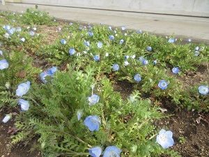 IMG_4977 IMG_4977