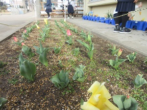 IMG_4978 IMG_4978