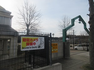 IMG_4973 IMG_4973