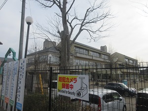 IMG_4974 IMG_4974