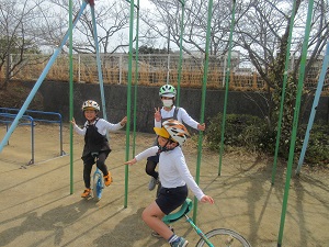 IMG_4986 IMG_4986