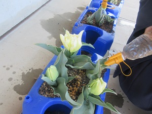 IMG_4999 IMG_4999
