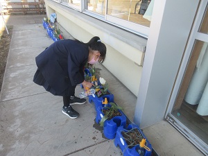 IMG_5002 IMG_5002