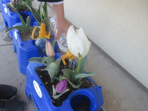 IMG_5003 IMG_5003