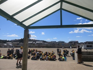 IMG_5021 IMG_5021