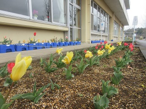 IMG_5035 IMG_5035