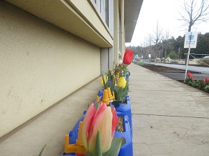 IMG_5036 IMG_5036