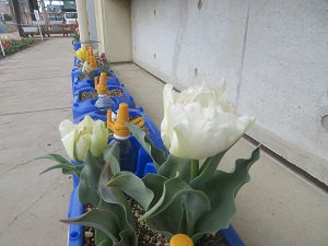 IMG_5038 IMG_5038