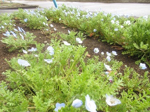 IMG_5039 IMG_5039