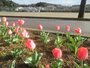 IMG_5054 IMG_5054