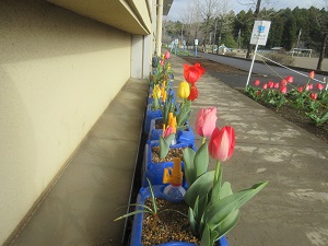 IMG_5055 IMG_5055