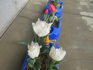 IMG_5056 IMG_5056