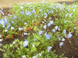 IMG_5057 IMG_5057