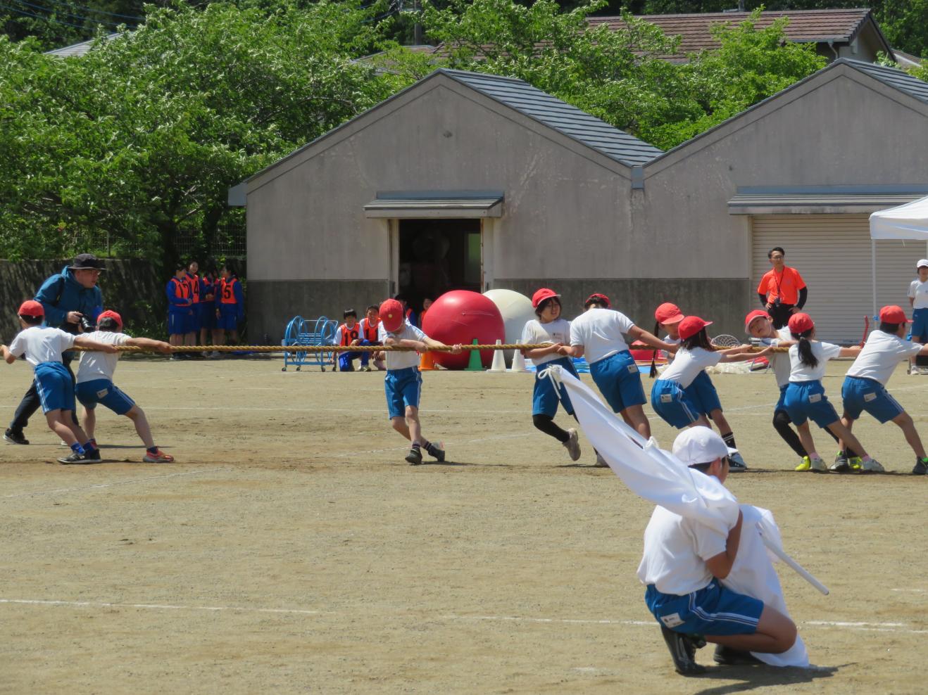 IMG_4457 IMG_4457