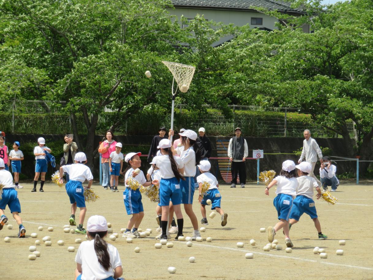 IMG_4468 IMG_4468