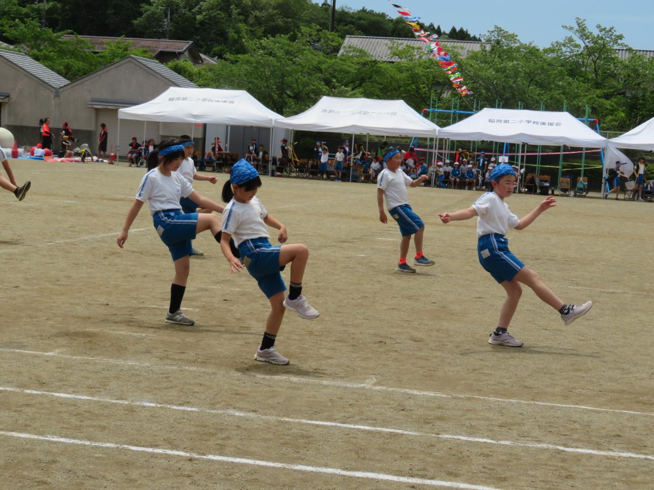 IMG_4491 IMG_4491