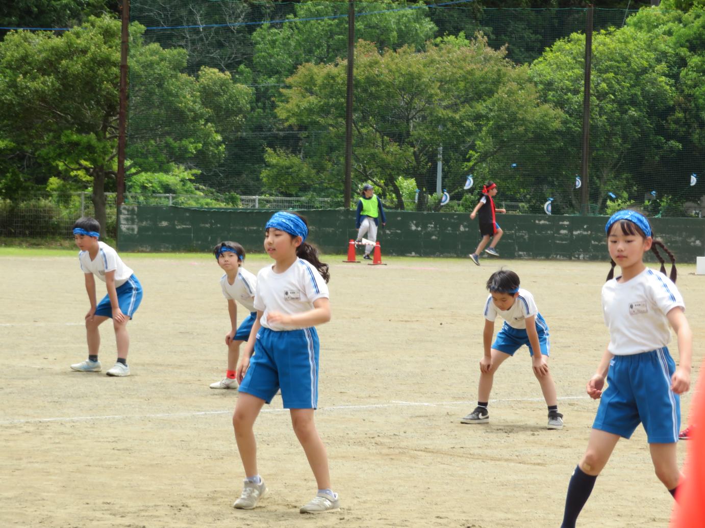 IMG_4493 IMG_4493